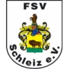 FSV Schleiz (N)