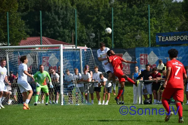 2024-08-03 - BW : Schott Jena